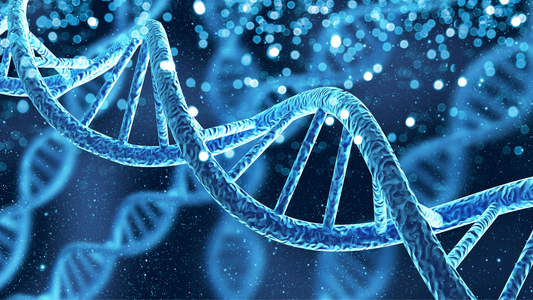 Illustration of a DNA double helix