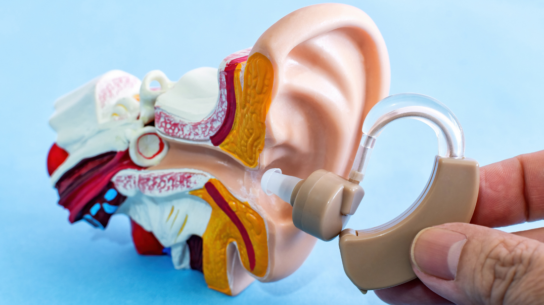 Diagram demonstrating how a hearing aid works