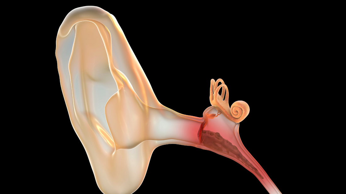 Diagram of the human ear highlighting the middle ear section, showing the common causes of conductive hearing loss like fluid buildup and infections.