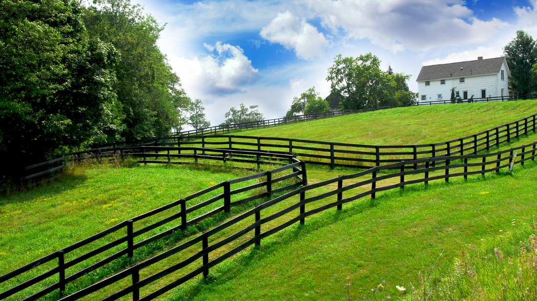 Image of a tranquil rural landscape with a farmhouse, green fields, and blue sky. The image represents the peacefulness of rural life and the convenience of online hearing health services.