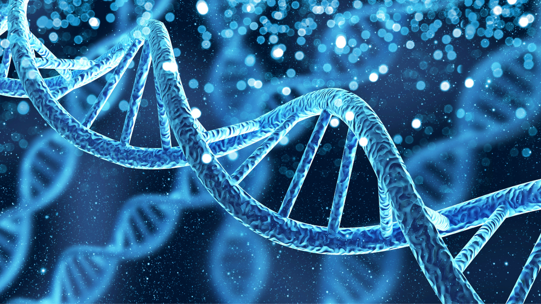 Illustration of a DNA double helix 